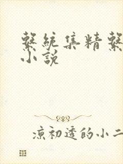 系统集精系统 小说