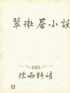 翠微居小说