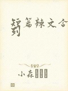 短篇辣文合集系列