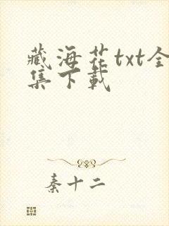 藏海花txt全集下载