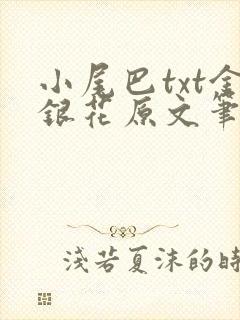小尾巴txt金银花原文笔趣阁在线阅读封面