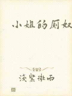 小姐的厕奴封面