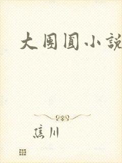 大团圆小说