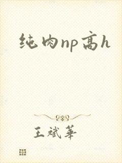 纯肉np高h