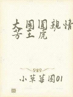 大团圆亲情会王芳王虎