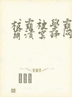 校霸被学霸玩到崩溃云译网封面
