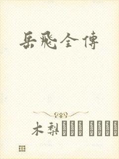 岳飞全传封面
