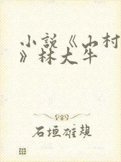 小说《山村情事》林大牛封面