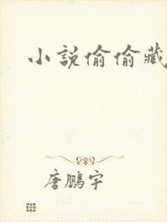 小说偷偷藏不住封面