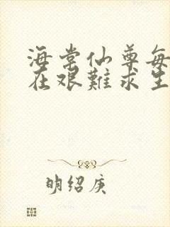 海棠仙尊每天都在艰难求生封面