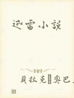 迅雷小说