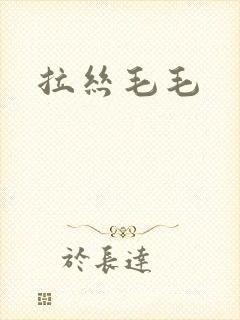 拉丝毛毛