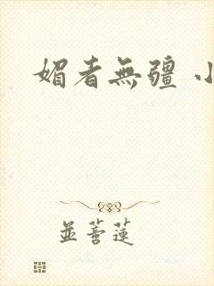 媚者无疆 小说