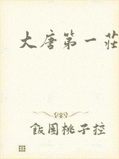 大唐第一庄