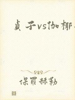 贞子vs伽椰子封面
