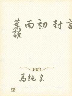 叶南初 封言小说