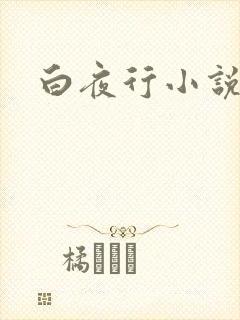 白夜行小说下载