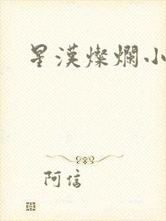 星汉灿烂小说