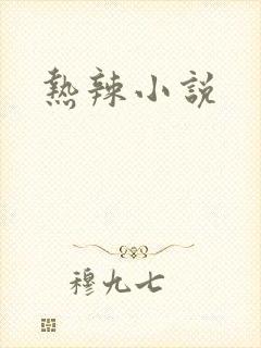 热辣小说