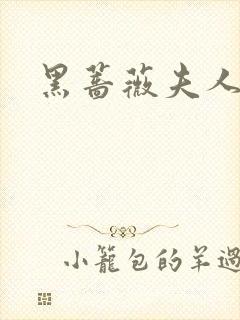 黑蔷薇夫人封面