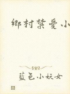 乡村禁爱小说