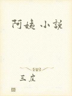 阿姨 小说