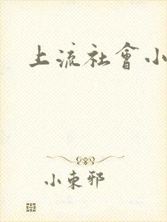 上流社会小说