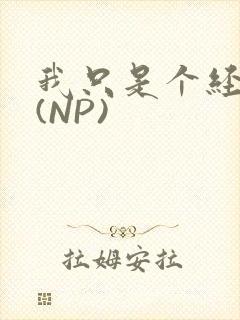 我只是个经纪人(NP)封面