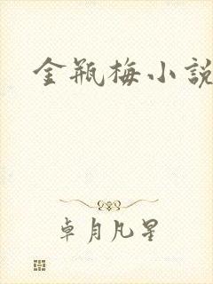 金瓶梅小说在线封面