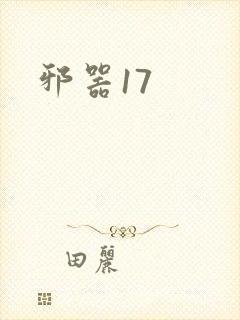 邪器17