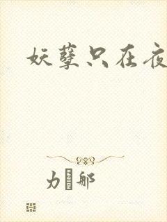 妖孽只在夜里哭封面