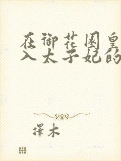 在御花园皇上进入太子妃的小说