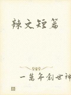 辣文短篇封面