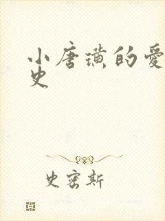 小唐璜的爱情历史封面