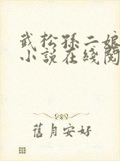 武松孙二娘云雨小说在线阅读