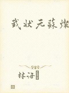 武状元苏灿