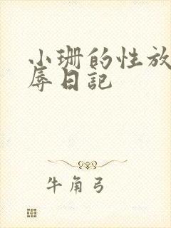 小珊的性放荡羞辱日记封面