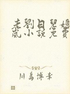 老刘日儿媳妇张岚小说免费阅读