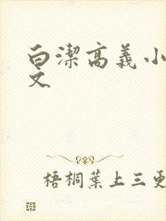 白洁高义小说全文