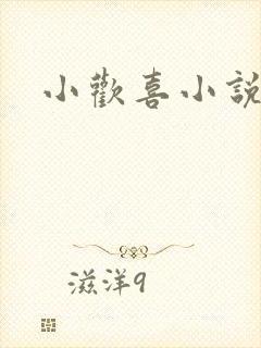 小欢喜小说