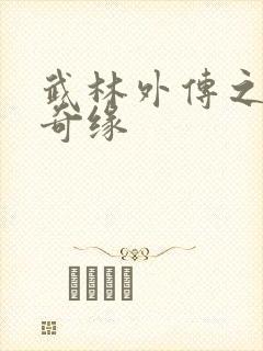 武林外传之同福奇缘封面