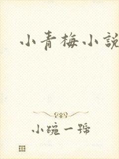 小青梅小说封面
