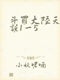 斗罗大陆天狂传说1一5