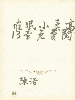 催眠小柔高达第13章免费阅读封面
