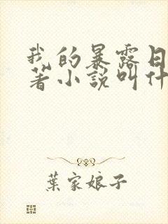 我的暴露日记原著小说叫什么