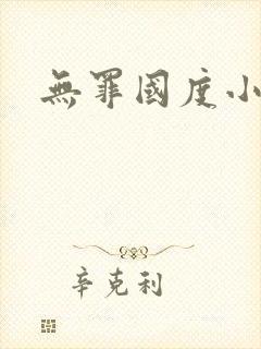无罪国度小说