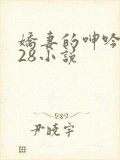 娇妻的呻吟1—28小说