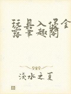 玩具入侵金银花露笔趣阁