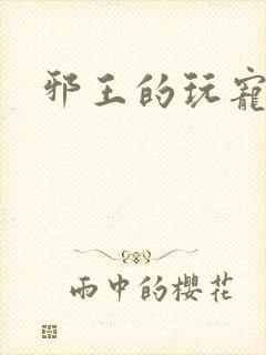 邪王的玩宠封面