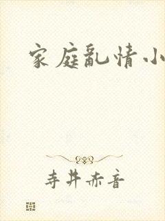 家庭乱情小说封面